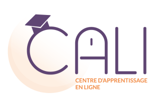 Institut Français d'Hypnose - bac à sable